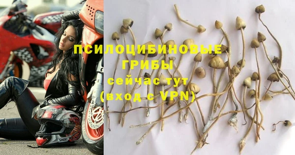 шишки Новокубанск