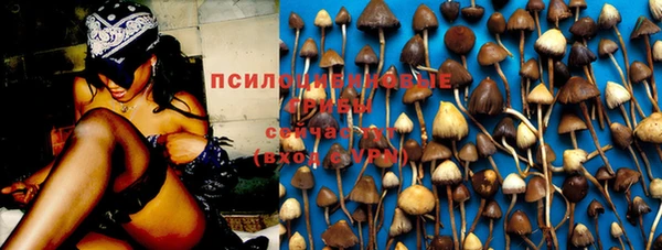 молекула духа Новодвинск