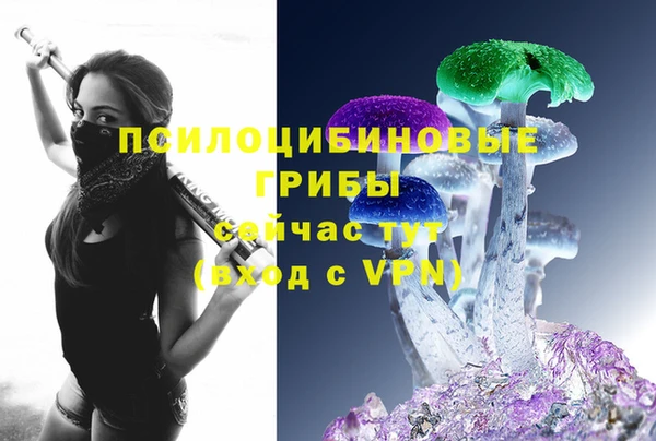 СК Вязьма