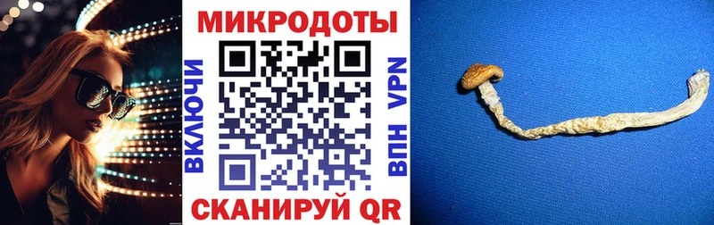 Псилоцибиновые грибы мухоморы  Нижний Ломов 